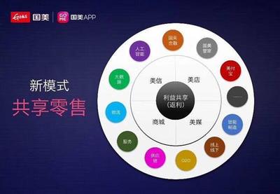 国美APP 想法虽好，市场机会已失