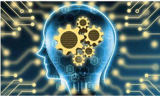 前三季度贵州新经济增加值达1992.90亿元，互联网商品零售展现强劲活力